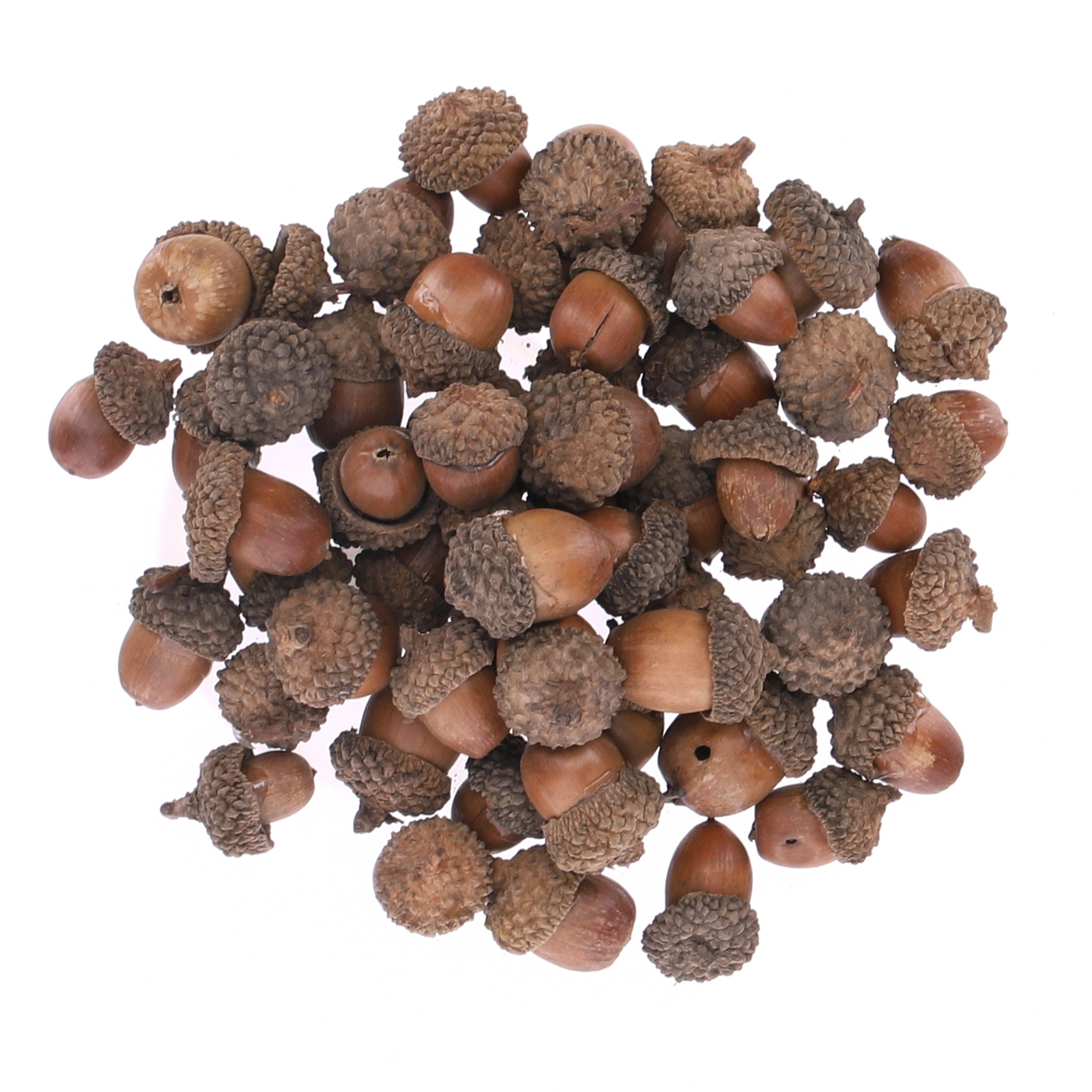 Acorns Bag - 150g